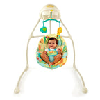 Bright Starts Big Top Buddies leagan cu 2 directii de leganare 0m+, Sunnyside