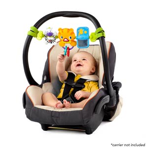 Bright Starts Jucarie Take Along Carrier Toy Bar™0m+