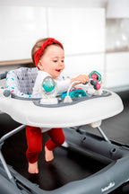 Babymoov Premergator Walker 2in1 pentru 6m+ Zinc