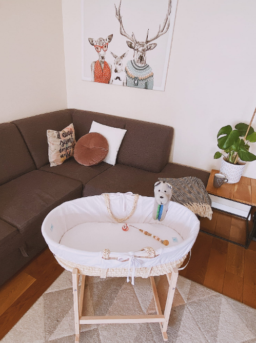 Ahoj Baby suport pentru cosulet bebe RockingBaby 0m+ 03