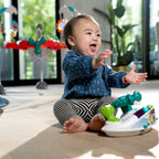 Baby Einstein Centru de activitati Airplaine Jumper 6m+