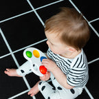 Baby Einstein jucarie senzoriala Color Pop Palette 6m+