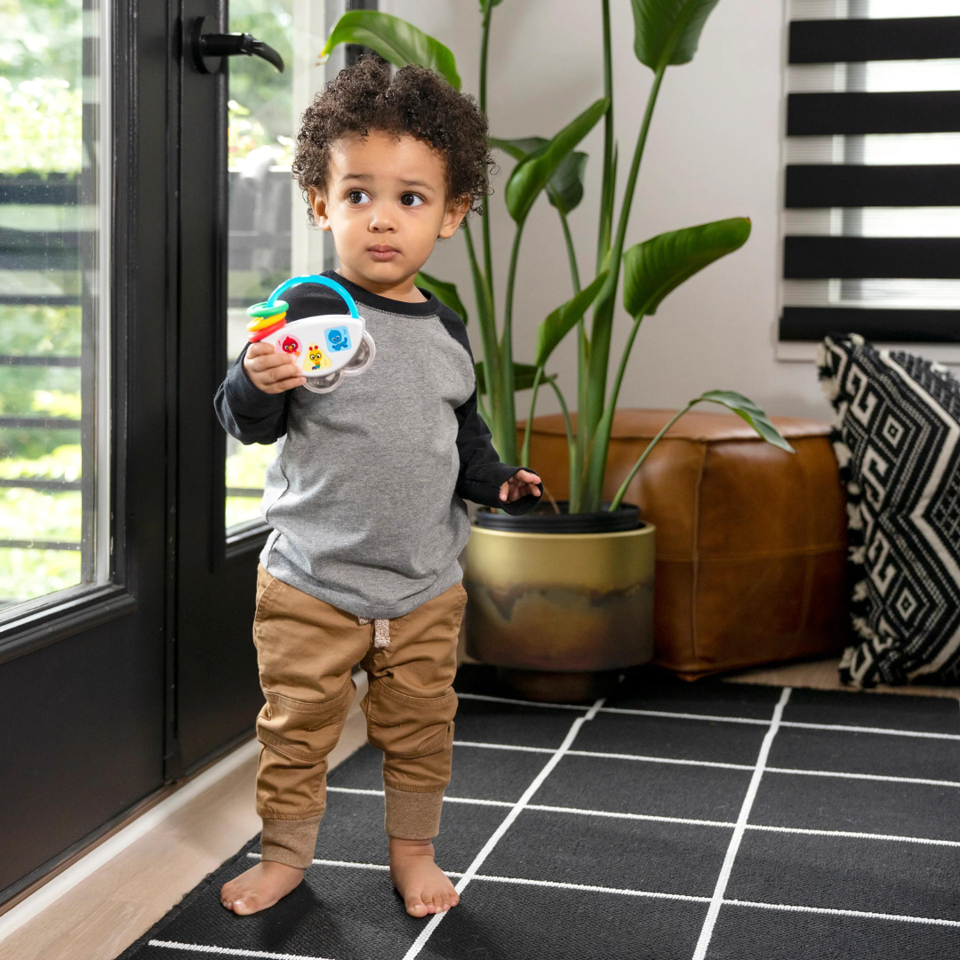 Baby Einstein jucarie muzicala si zornaitoare "Tiny Tambourine" 6m+
