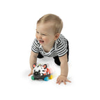 Baby Einstein masinuta zornaitoare Curious Car Zen Oball 3m+