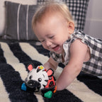 Baby Einstein masinuta zornaitoare Curious Car Zen Oball 3m+