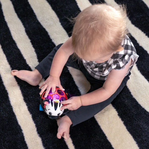 Baby Einstein masinuta zornaitoare Curious Car Zen Oball 3m+
