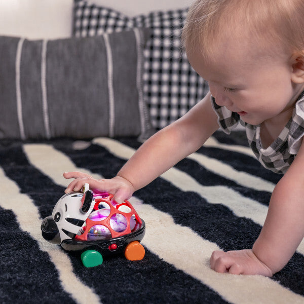 Baby Einstein masinuta zornaitoare Curious Car Zen Oball 3m+