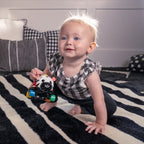 Baby Einstein masinuta zornaitoare Curious Car Zen Oball 3m+