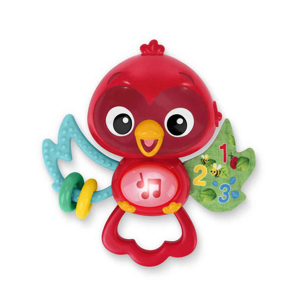 Baby Einstein jucarie senzoriala muzicala Roxy's Bright Flight 3m+ Imagine principală a produsului