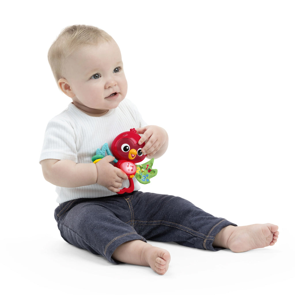 Baby Einstein jucarie senzoriala muzicala Roxy's Bright Flight 3m+