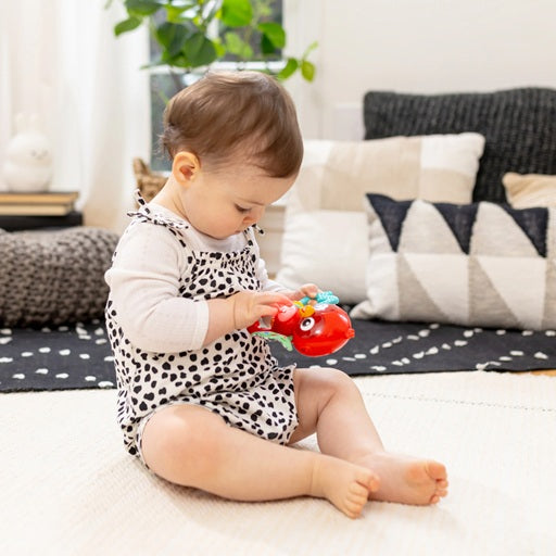 Baby Einstein jucarie senzoriala muzicala Roxy's Bright Flight 3m+