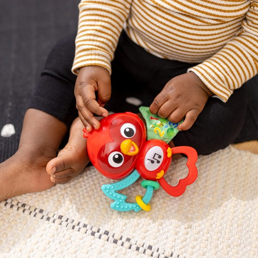Baby Einstein jucarie senzoriala muzicala Roxy's Bright Flight 3m+