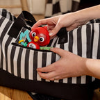 Baby Einstein jucarie senzoriala muzicala Roxy's Bright Flight 3m+