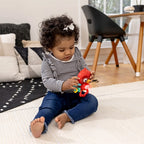 Baby Einstein jucarie senzoriala muzicala Roxy's Bright Flight 3m+
