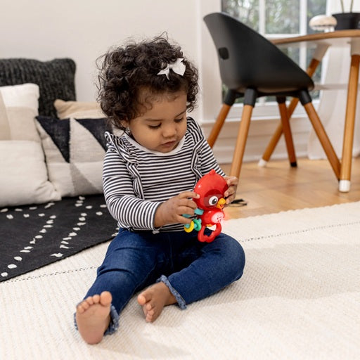 Baby Einstein jucarie senzoriala muzicala Roxy's Bright Flight 3m+
