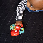 Baby Einstein jucarie senzoriala muzicala Roxy's Bright Flight 3m+