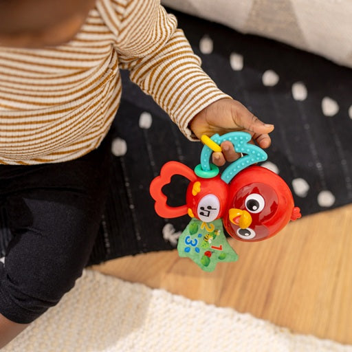Baby Einstein jucarie senzoriala muzicala Roxy's Bright Flight 3m+