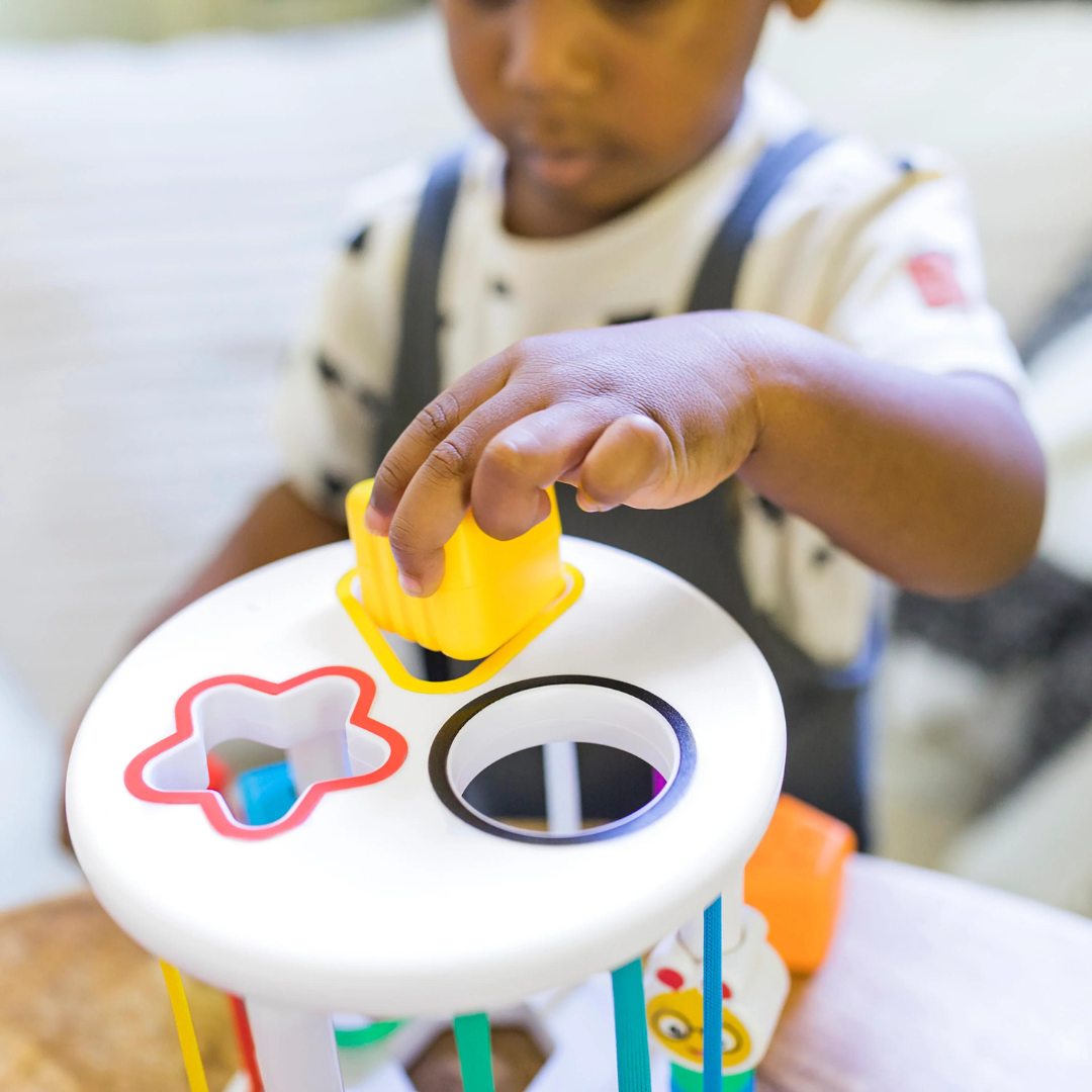 Baby Einstein set de jucarii senzoriale Zen&Cal's Playground 6m+