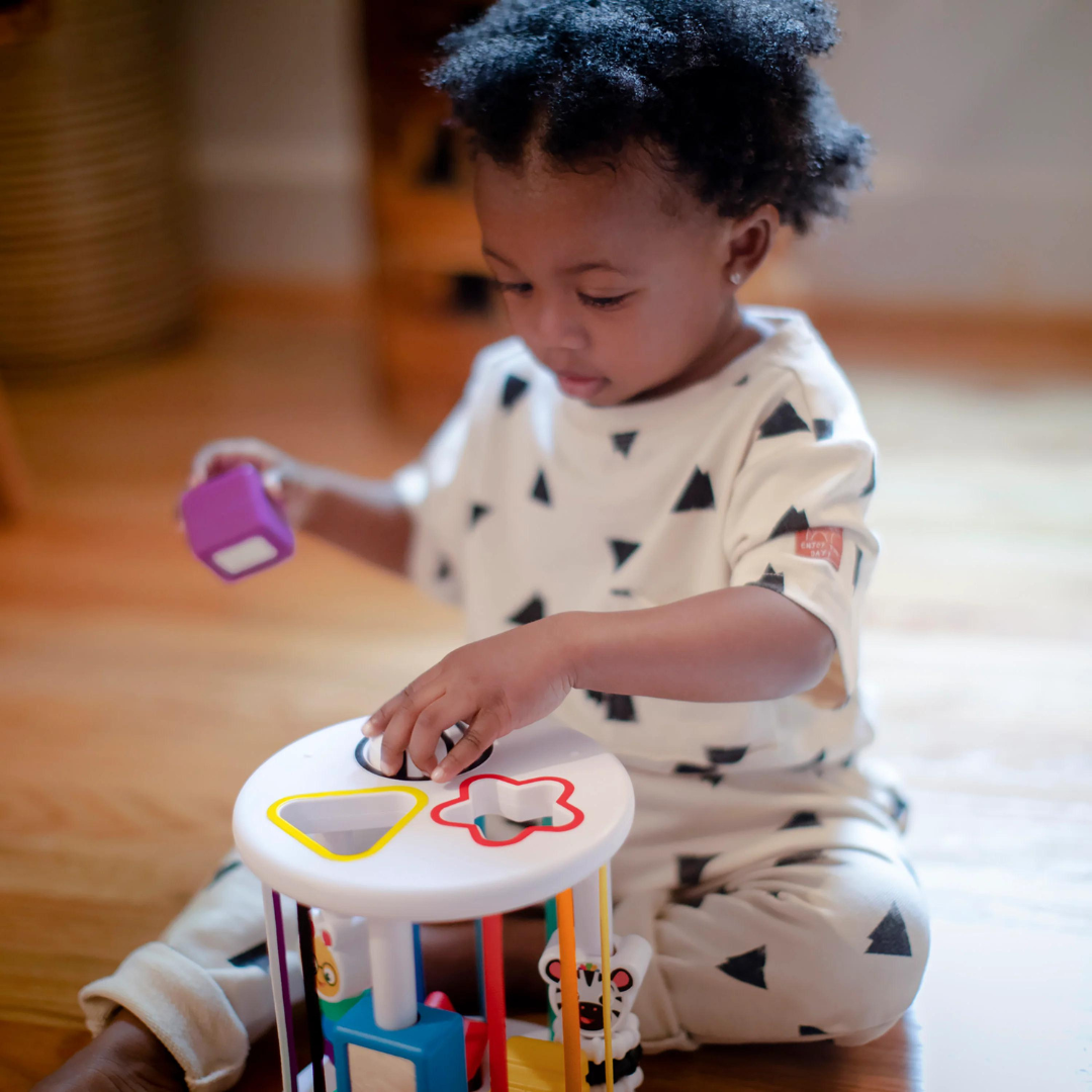 Baby Einstein set de jucarii senzoriale Zen&Cal's Playground 6m+