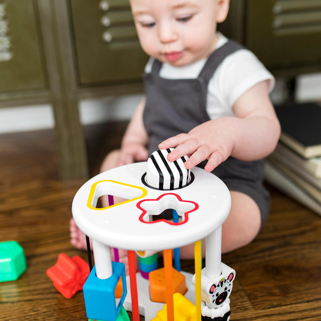 Baby Einstein set de jucarii senzoriale Zen&Cal's Playground 6m+