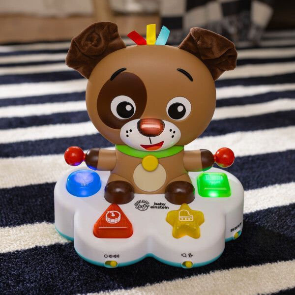 Baby Einstein toba muzicala "Drum&Learn Dean" 6m+