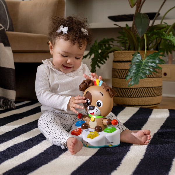Baby Einstein toba muzicala "Drum&Learn Dean" 6m+