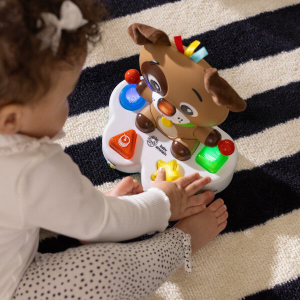 Baby Einstein toba muzicala "Drum&Learn Dean" 6m+