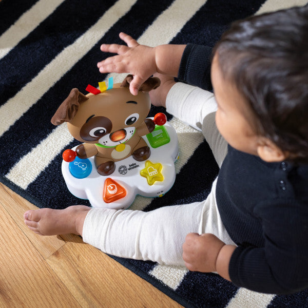 Baby Einstein toba muzicala "Drum&Learn Dean" 6m+
