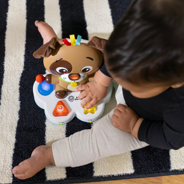 Baby Einstein toba muzicala "Drum&Learn Dean" 6m+