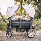 Baby Go carucior de transport tip vagon Cozy Rider