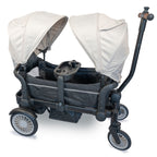 Baby Go carucior de transport tip vagon Cozy Rider