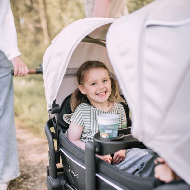 Baby Go carucior de transport tip vagon Cozy Rider