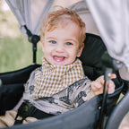 Baby Go carucior de transport tip vagon Cozy Rider