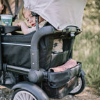 Baby Go carucior de transport tip vagon Cozy Rider