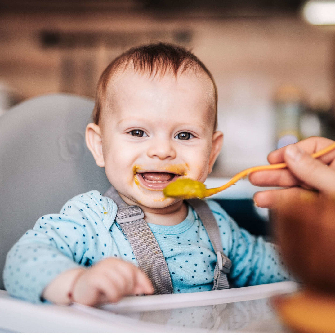 Baby Go scaun de masa transformabil Scandi 6m+ Green