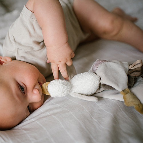 Baby Ono jucarie paturica de dormit plus 0m+ GOOSE ZOE