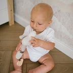 Baby Ono jucarie plus chitaitoare 3m+ GOOSE ZOE