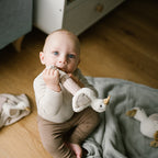 Baby Ono jucarie plus chitaitoare 3m+ GOOSE ZOE
