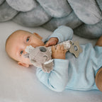 Baby Ono jucarie plus chitaitoare 3m+ Koala Coco