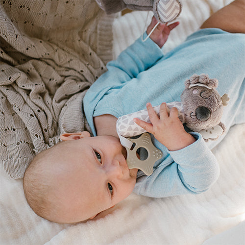 Baby Ono jucarie plus chitaitoare 3m+ Koala Coco