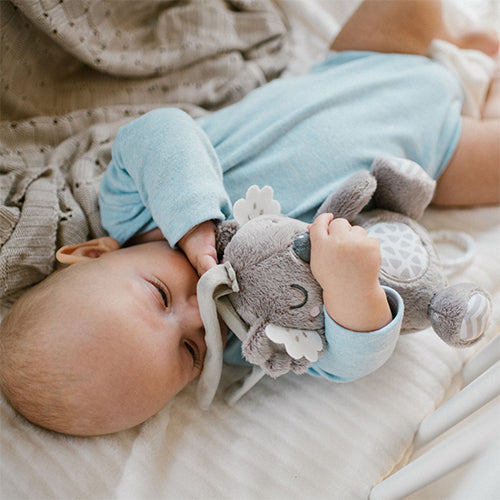 Baby Ono jucarie plus muzicala 0m+ Koala Coco