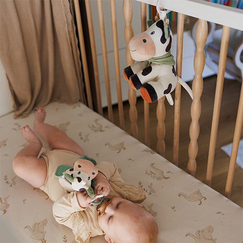 Baby Ono jucarie plus muzicala vacuta Cow Bingo 0m+