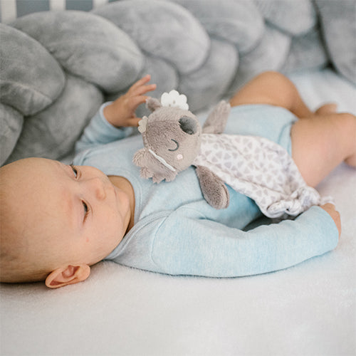 Baby Ono jucarie plus paturica de dormit 0m+ Koala Coco