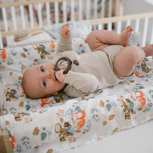 Baby Ono jucarie zornaitoare 3m+ Melc