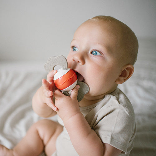 Baby Ono jucarie zornaitoare si dentitie 3m+