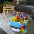 Baby Einstein covor de joaca 5in1 Ball Pit 0m+ 08
