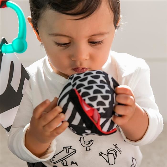 Baby Einstein covor de joaca Bold New World 0m+ 11398 07