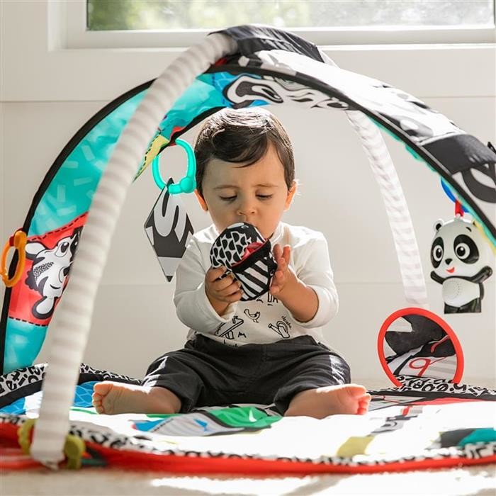 Baby Einstein covor de joaca Bold New World 0m+ 11398 09