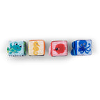Baby Einstein cuburi moi Explore & Discover 3m+ 01
