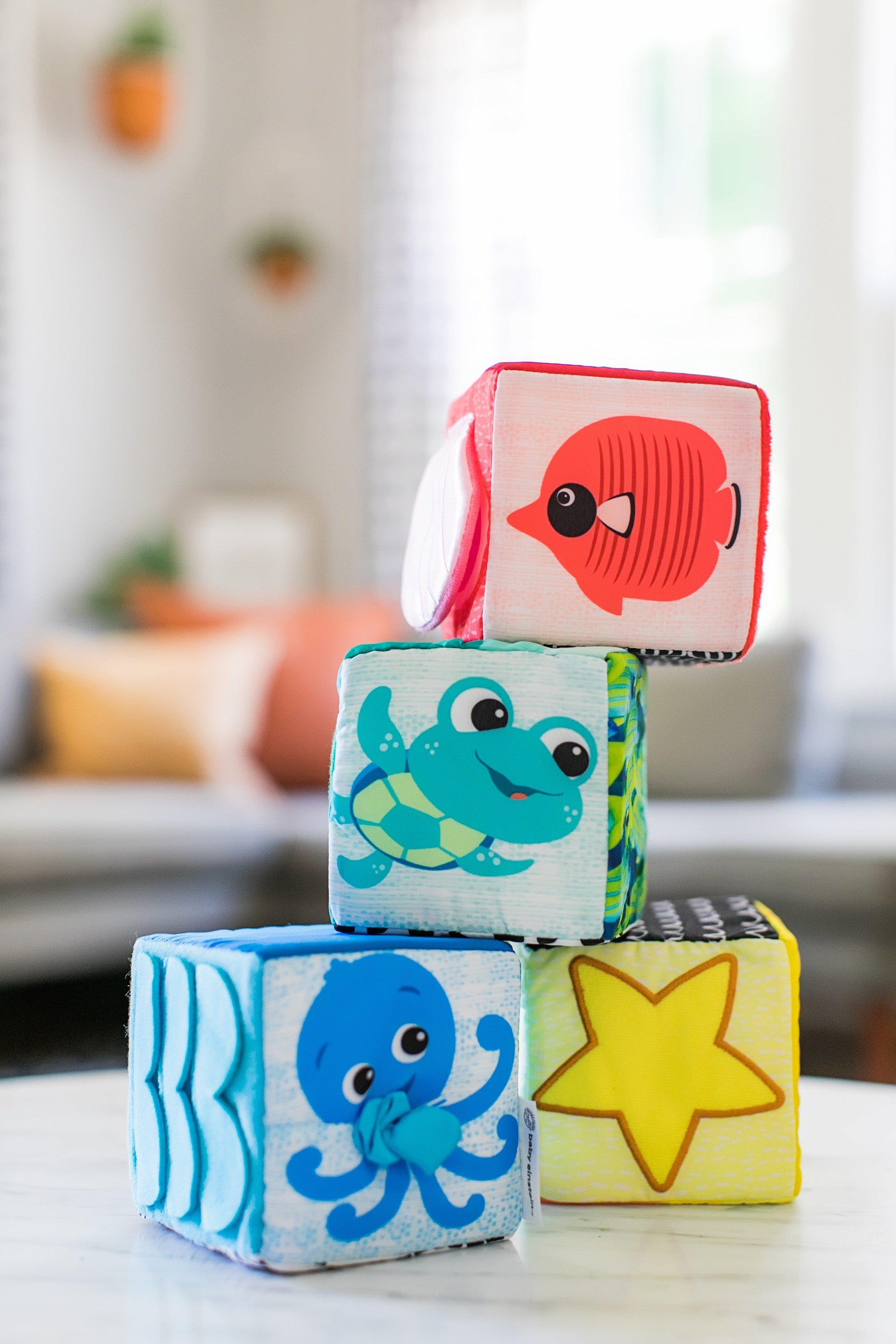 Baby Einstein cuburi moi Explore & Discover 3m+ 09